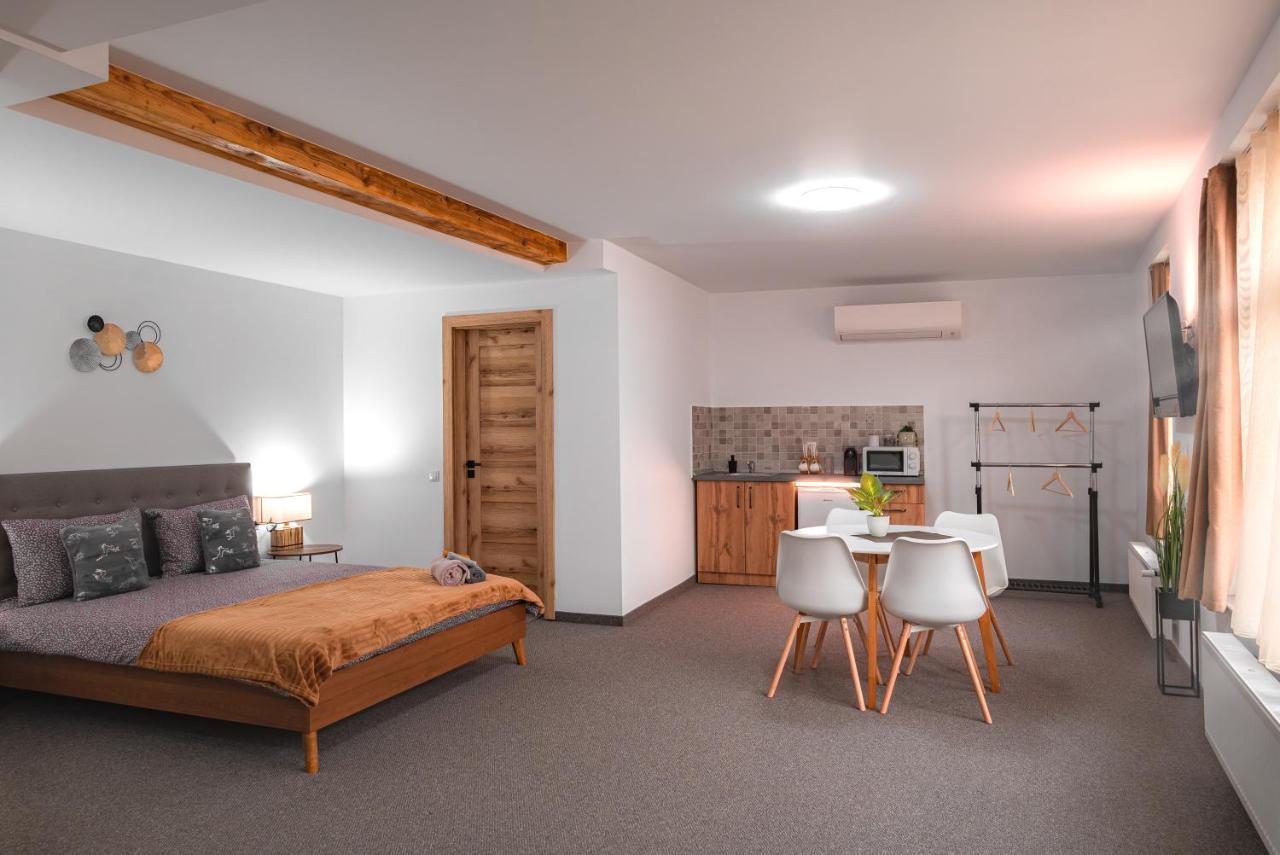 The Dom 21 Apartment Cluj-Napoca